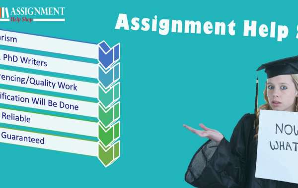 Search for assignment help online services to make your effort productive