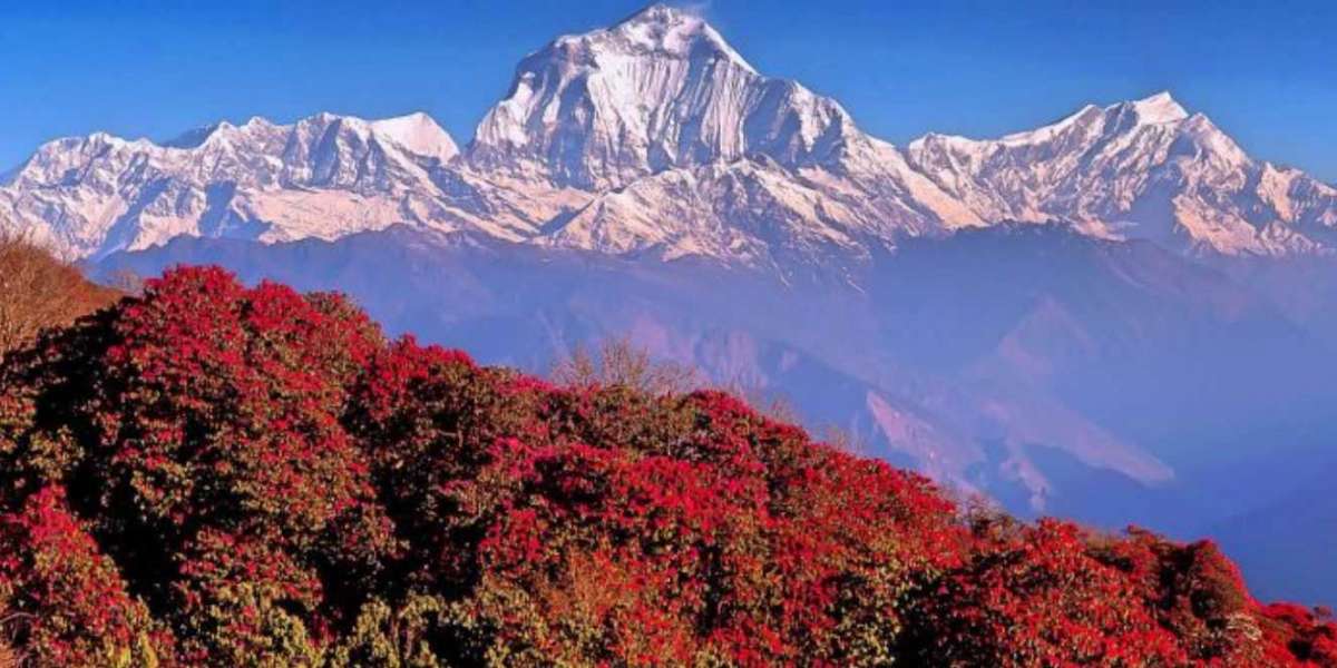 Affordable Packages for Everest Base Camp, Nepal