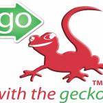 Go With The Gecko Profile Picture