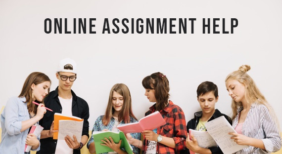 Assignment Help Ireland – Online Assignment Writing Service