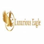 Luxurious Eagle Profile Picture