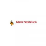 Adams Parrots Farm Profile Picture
