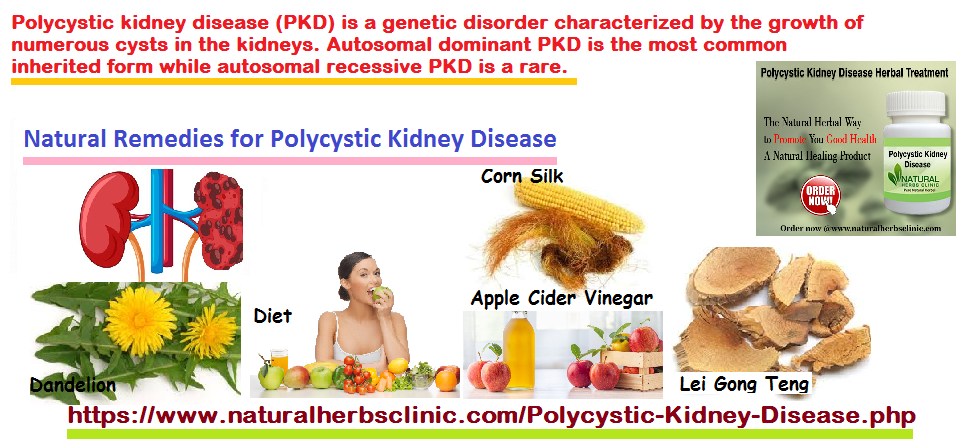 5 Natural Remedies for Polycystic Kidney Disease