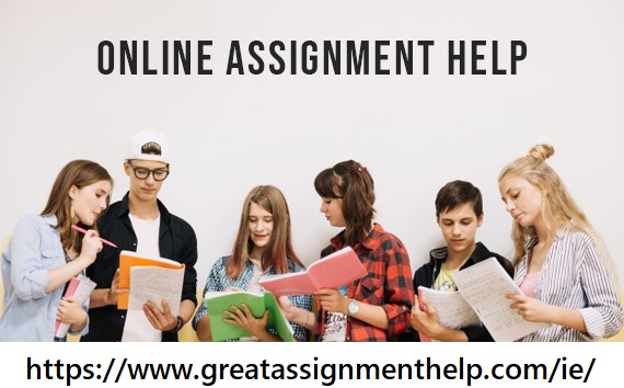 Online Assignment Help Ireland- The One-Stop Destination  - jame1414’s blog