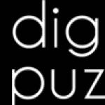 Digital Puzzle Digital Marketing Agency Profile Picture