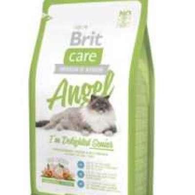 Brit Care Angel Cat Profile Picture