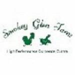 Smokey Glen Farm Profile Picture
