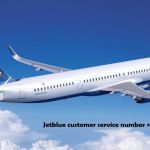 JetBlue Airline Profile Picture