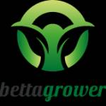 Betta Grower Profile Picture
