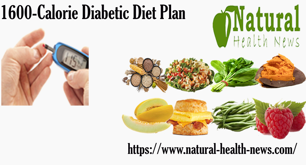 DIABETES FRIENDLY 1600 CALORIE DIABETIC DIET PLAN