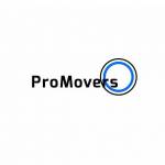 Pro Movers Miami Profile Picture