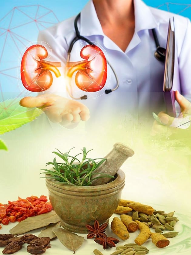 Karma Ayurveda is known to be the best kidney care hospital – Karma Ayurveda Health