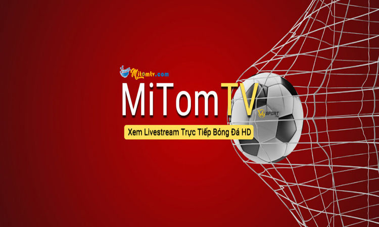 MiTom TV - Link xem bóng đá trực tuyến chất lượng cao