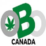Order Bud Online Profile Picture
