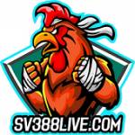 SV388 LIVE Profile Picture