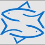 My Kosher Fish Profile Picture