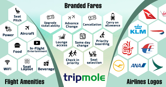 Rich Content for Airline Amenity | Branded fares and airline logos