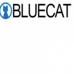 bluecatstore Profile Picture