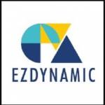 EZDynamic LLC Profile Picture