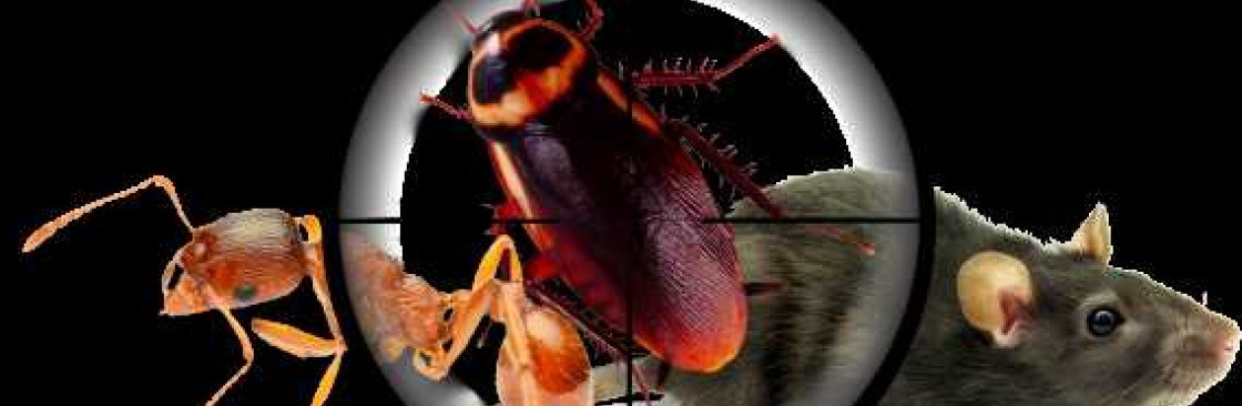Best Pest Control Bendigo Cover Image