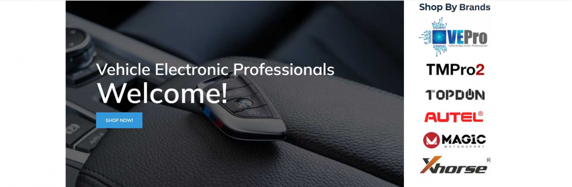 Vehicle Electronic Professional Cover Image