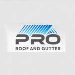 Pro Roof And Gutter Profile Picture