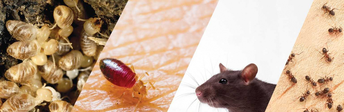 Pest Control Adelaide Cover Image