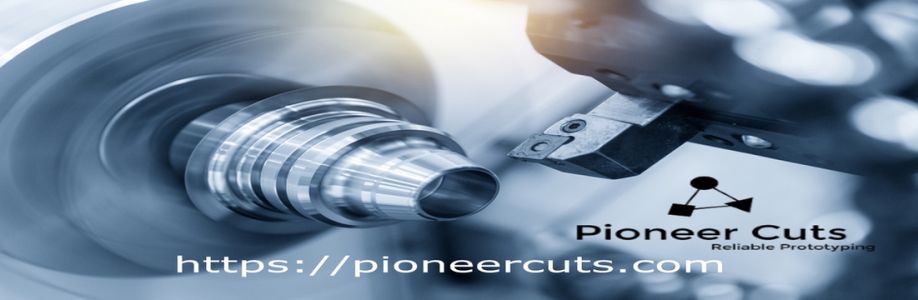 Pioneer Cuts Cover Image
