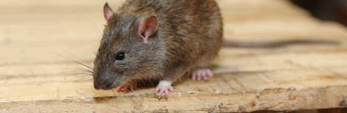 Rodent Control Melbourne Cover Image