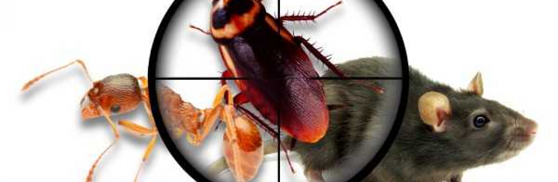 Pest Control Mount Waverley Cover Image