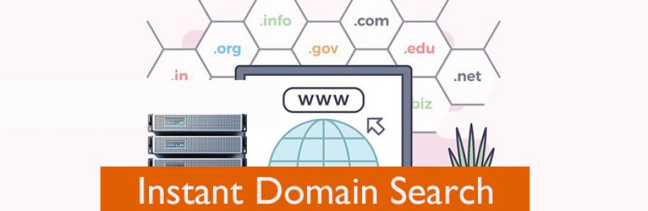Acquire Complete Information About Instant Domain Search with Onlive Server Cover Image