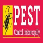 Pest Control Indooroopilly Profile Picture