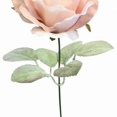 Chamapgne Rose Stem | Artificial Flowers | Fake Roses | Silk Roses | Faux Flowers | Flowers in Bulk  Profile Picture