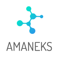 Amaneks LLC - Professional Services -