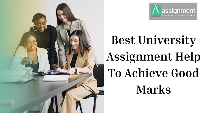 Assignment Help Pro — Best University Assignment Help To Achieve Good...