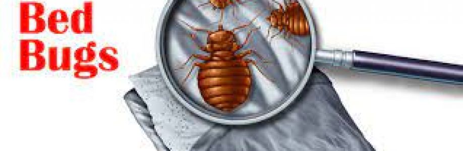 Bed Bugs Control Sydney Cover Image