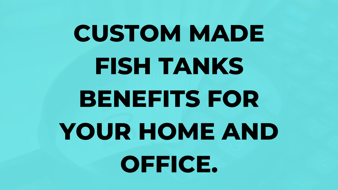 Custom made fish tanks Benefits for your Home and Office. | edocr