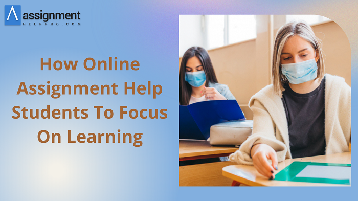 Assignment Help Pro — How Online Assignment Help Students To Focus On...