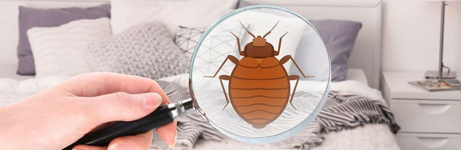 Bed Bugs Control Melbourne Cover Image