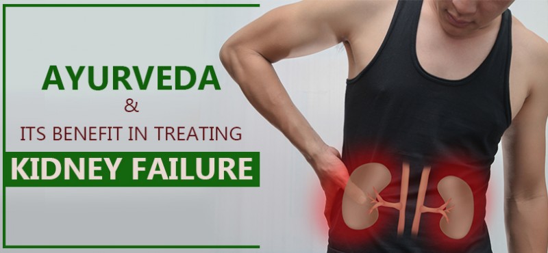 Ayurveda & its benefit in treating kidney failure