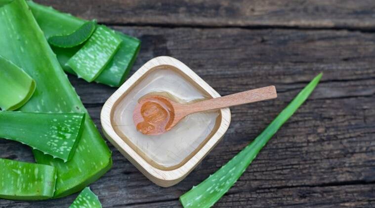 The indelible excellence of aloe vera  – Haleynutrition