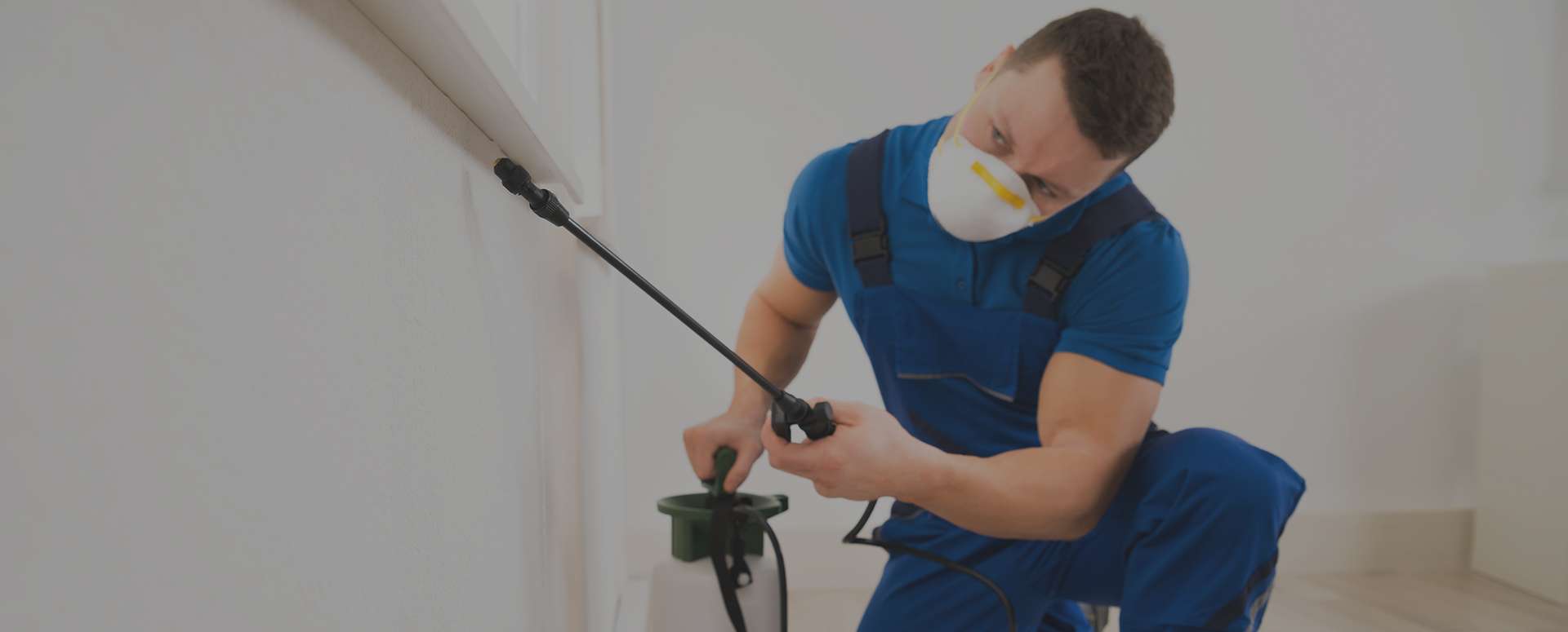 Pest Control Services in Freeport - A1 Howies Exterminating