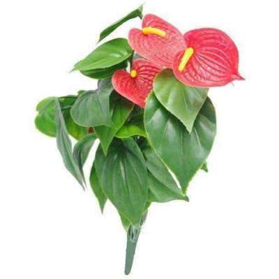 Red Anthurium Bunch UV Profile Picture
