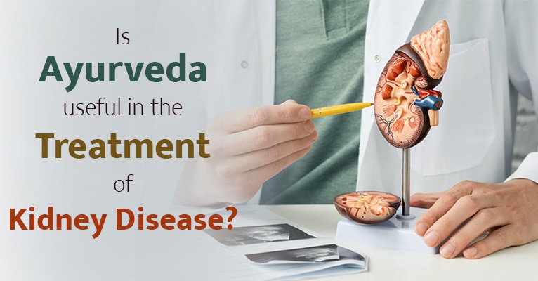 Is Ayurveda useful in the treatment of kidney disease?