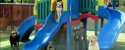 Playground Directory — Want to research everything about the dog park...