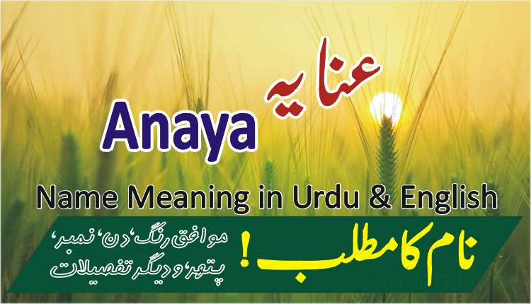 Anaya Name Meaning In Urdu (Girl Name عنایہ)