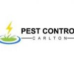 Pest Control Carlton Profile Picture