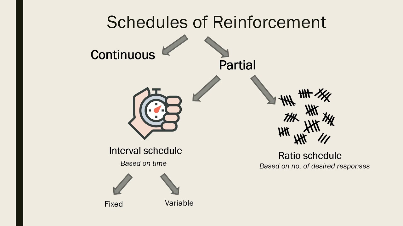 REINFORCEMENT AND ITS SCHEDULES - Gives strength to response.