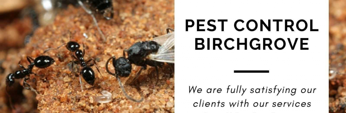 Pest Control Birchgrove Cover Image