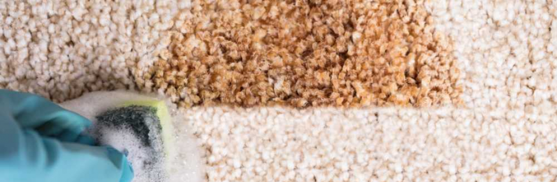 Carpet Cleaning Northcote Cover Image